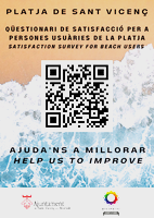 Enquesta platja