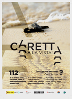 Caretta a la vista