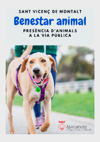 Campanya sensibilització mascotes a la via pública