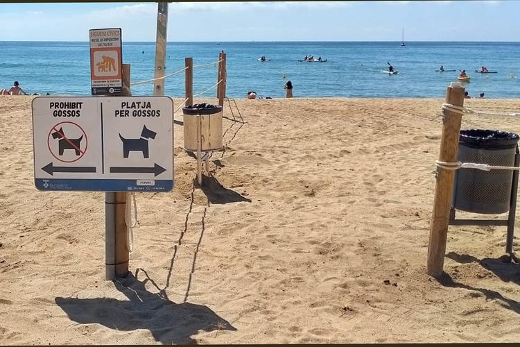 Platja gossos