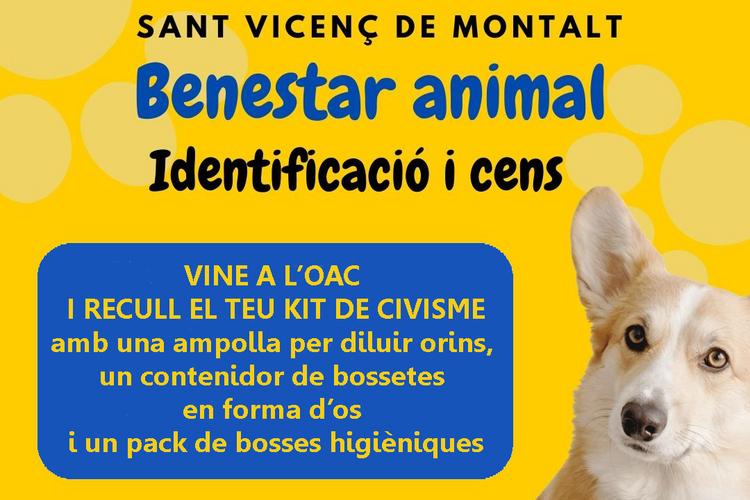 campanya cens gossos