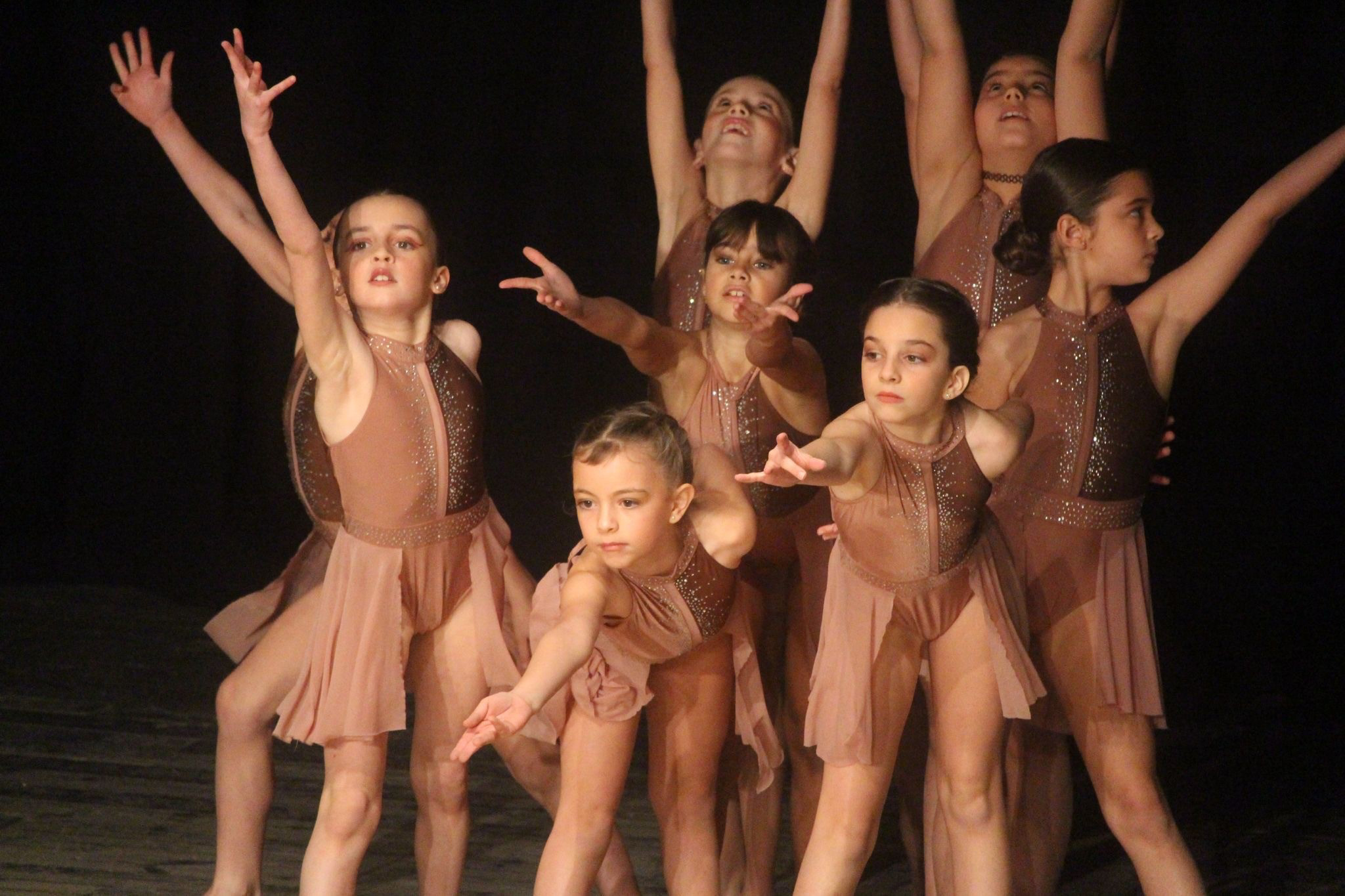 Dansa