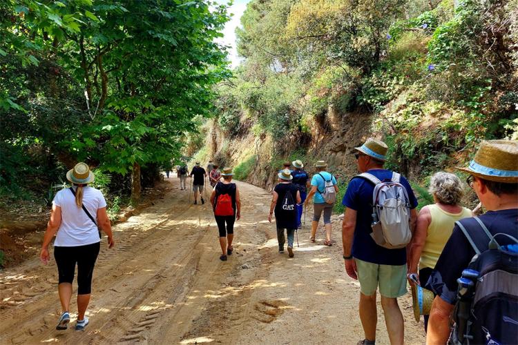 Caminada contra maltractament gent gran