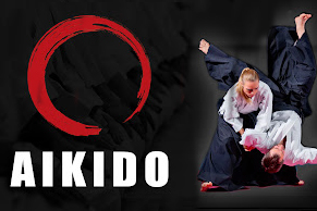 Taller Aikido