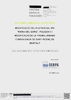 Document Ambiental Estratègic