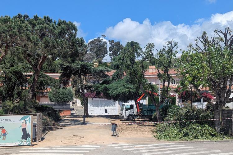 Enjardinament Av. del Parc