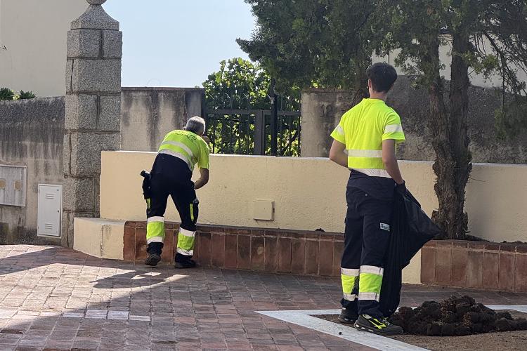 Brigada Jove 2025