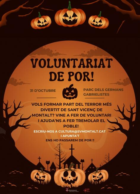 Voluntariat de por