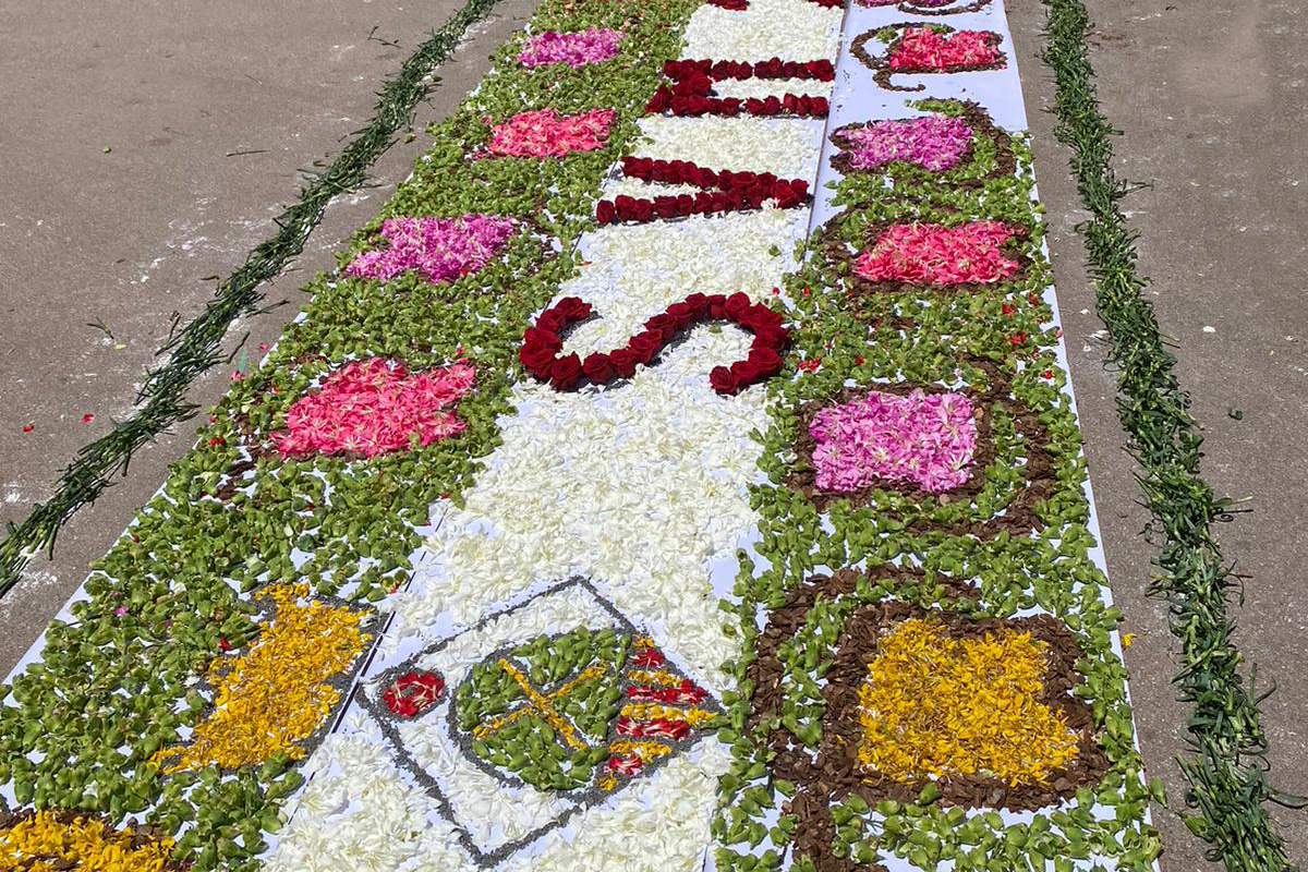 Catifes flors