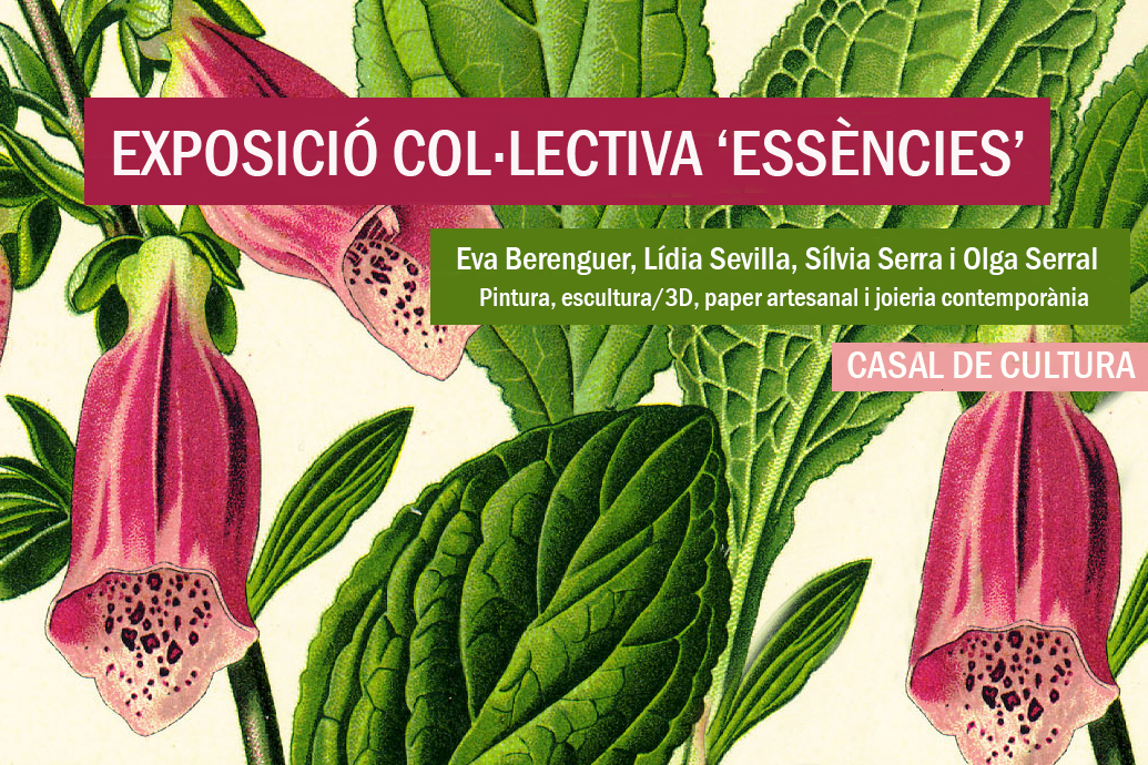 Exposici essncies