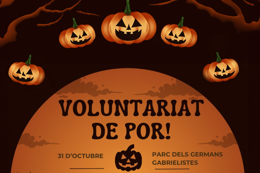 Voluntariat de por
