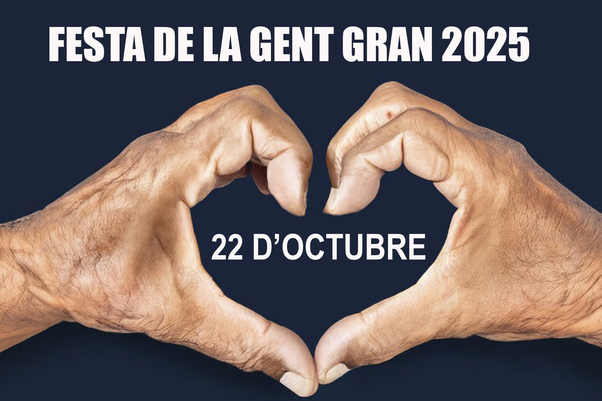 Concurs de paelles