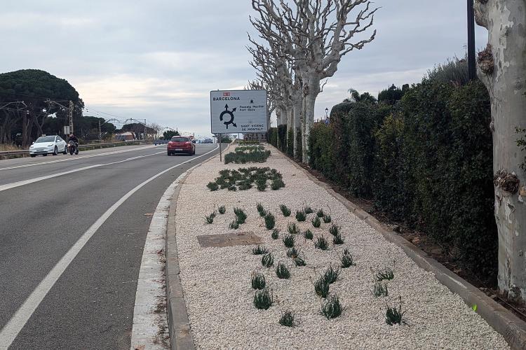 Parterres N-II