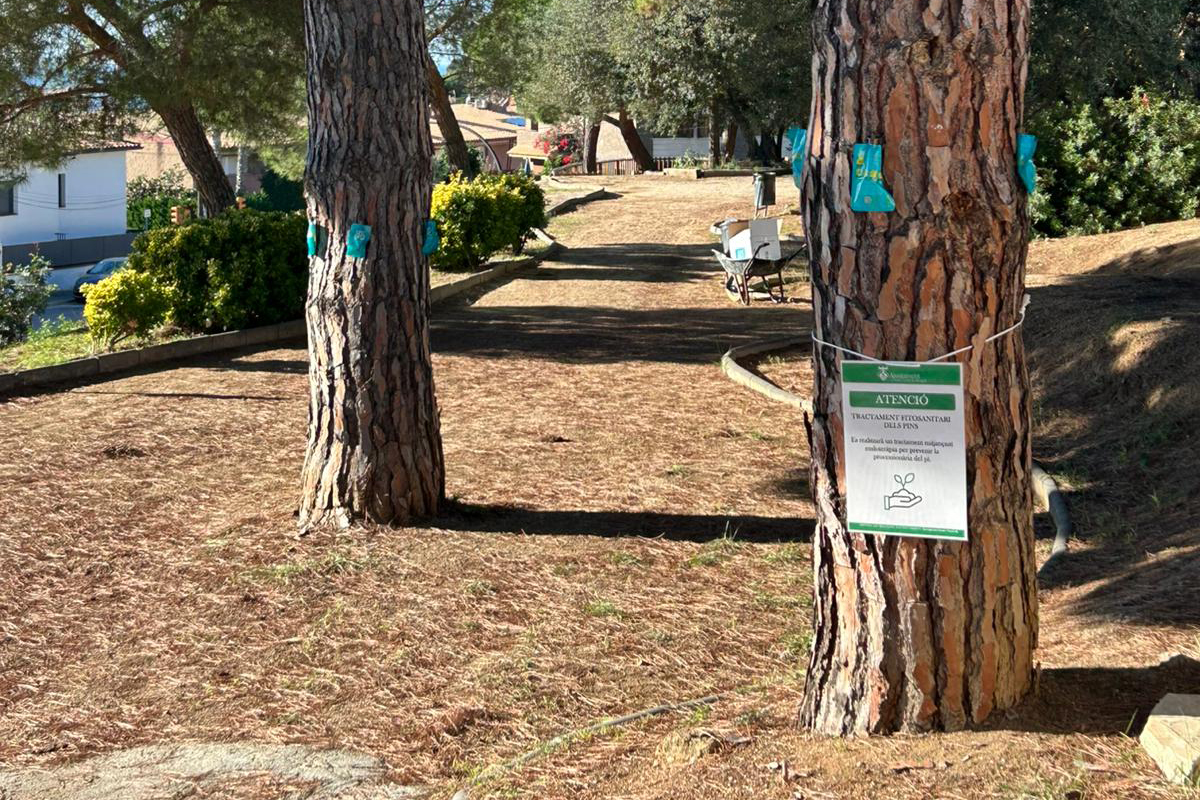 tractament processionria