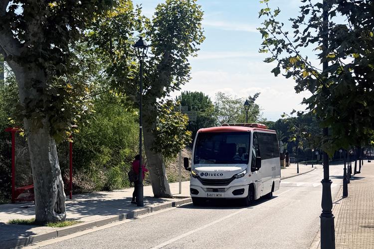 Bus a demanda