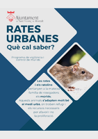 Programa control i vigilància de múrids