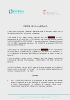 Conveni Fundaci&oacute; Luz Solidaria