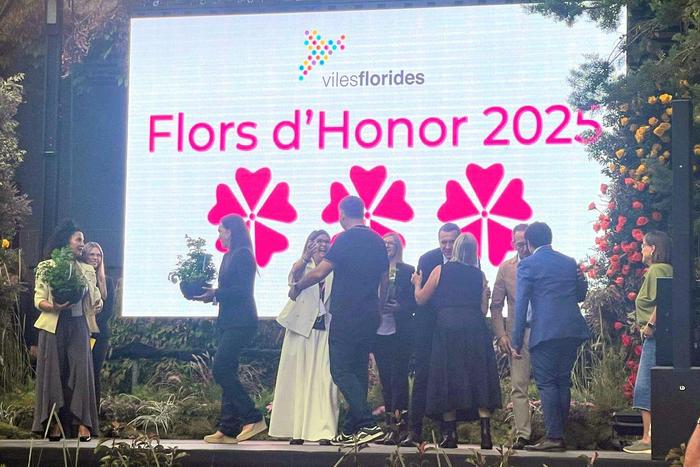 viles florides 2025