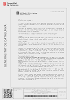Aprovació definitiva NNSS Riera del Gorg