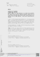 Anunci esmenes no substancials