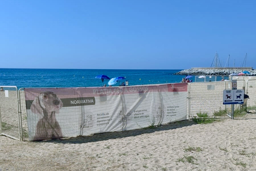 Platja gossos