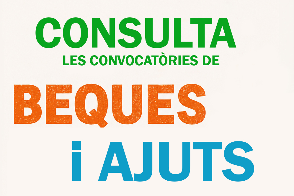 Beques i ajuts