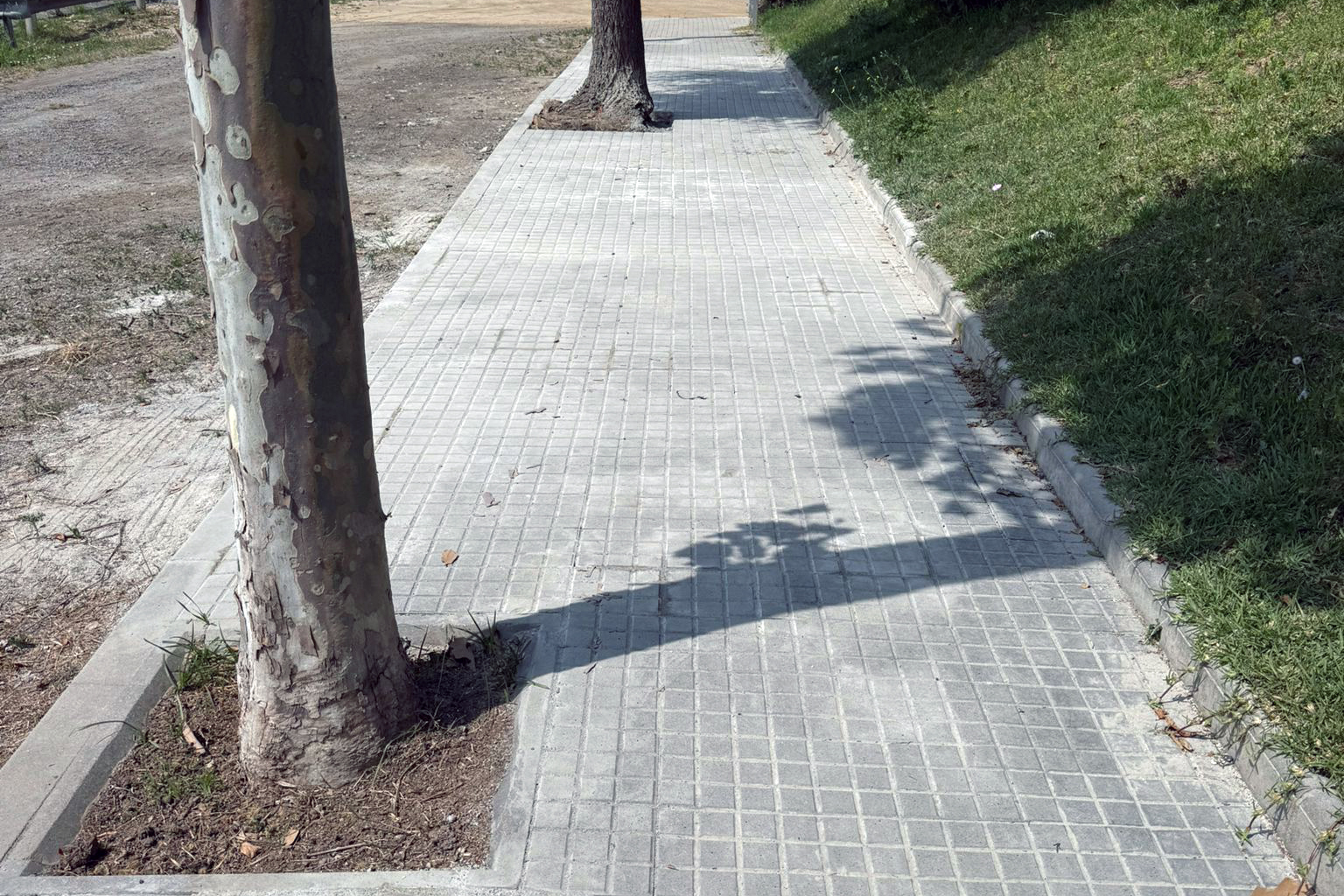 Nova vorera