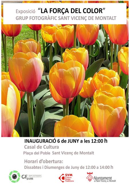Expo Grup Fotogr&agrave;fic SVM