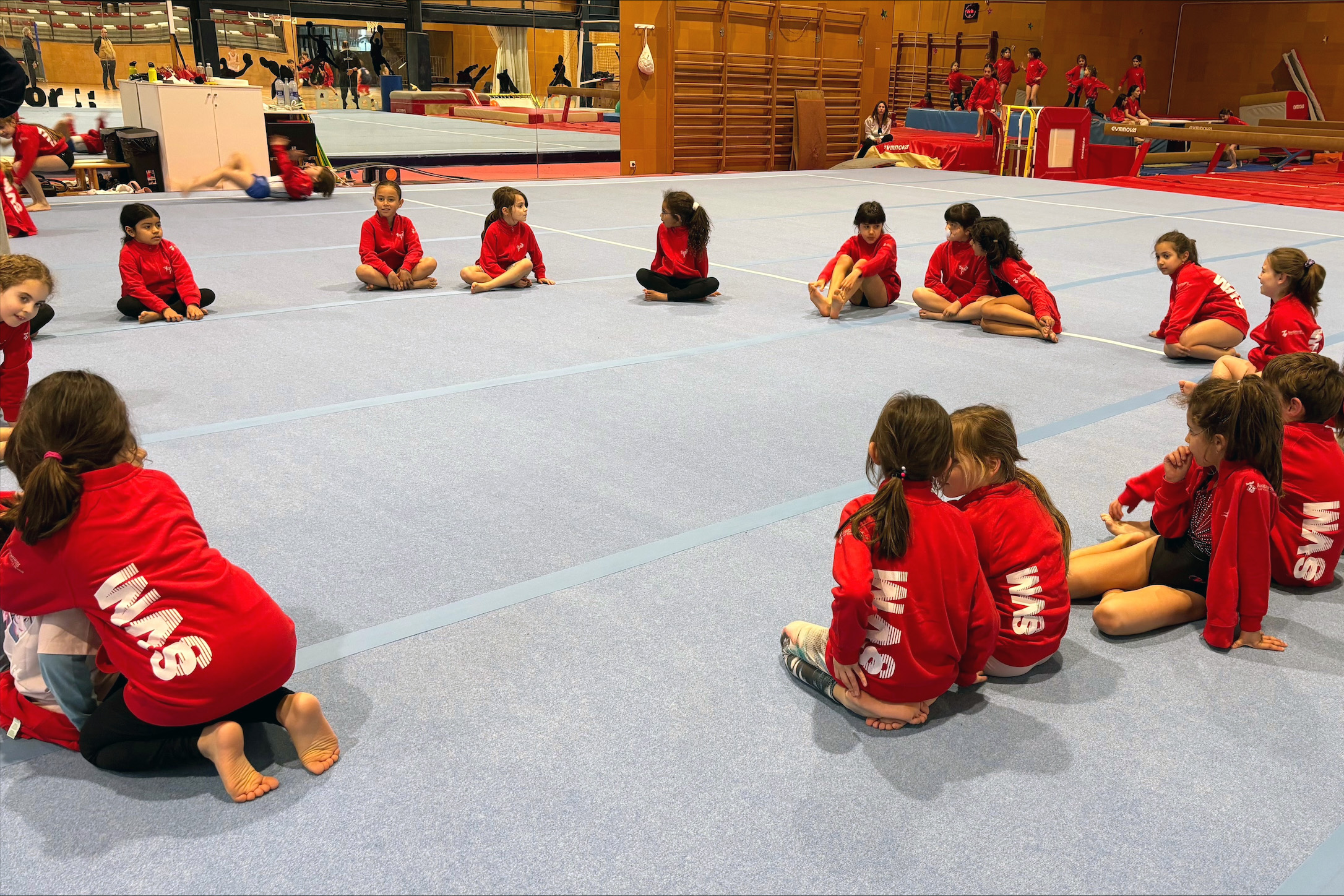 Terra gimnàs Terra gimnàs