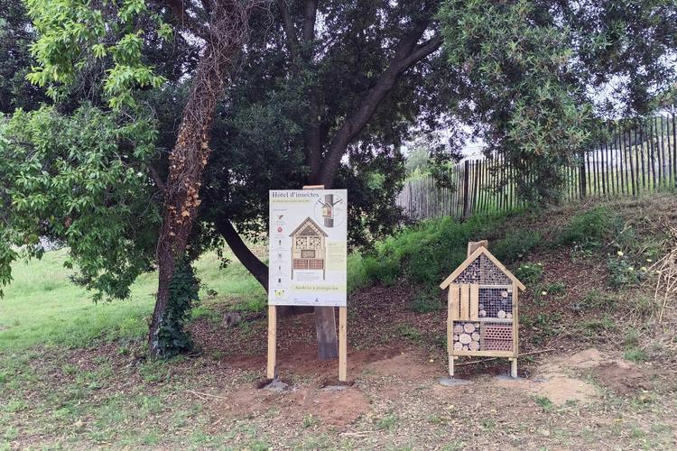 Aula Natura