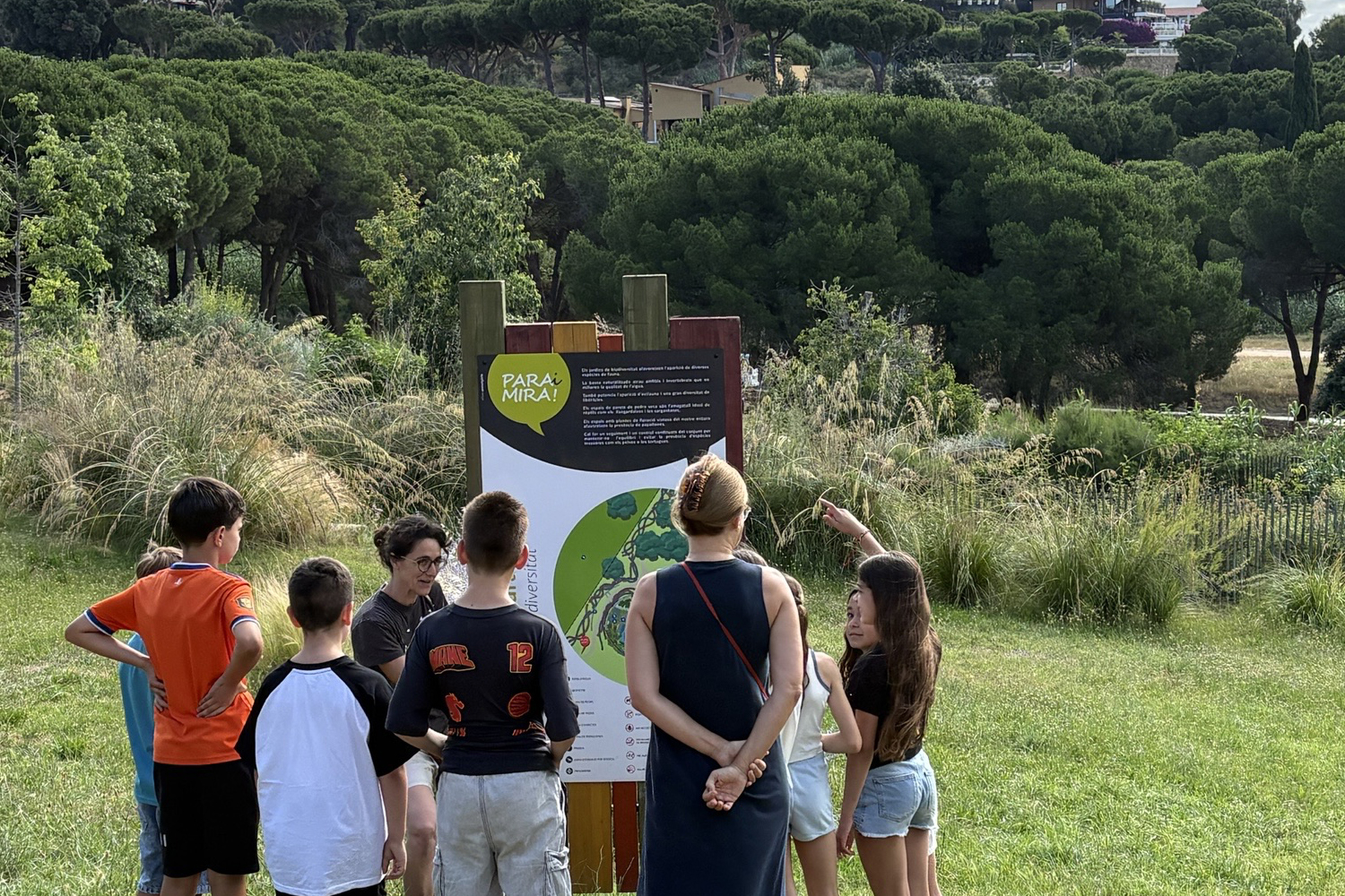 Aula de Natura