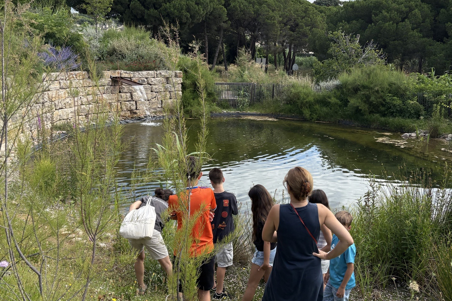 Aula de Natura Aula de Natura