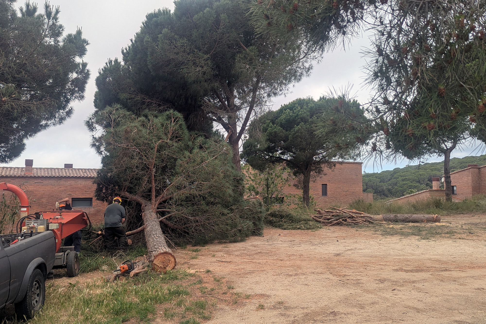 Plana de l'Andreu Plana de l'Andreu