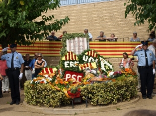 Diada Nacional de Catalunya 2008