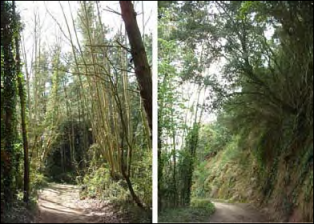 Ruta excursionista de Les 3 Viles