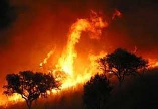 Incendi forestal