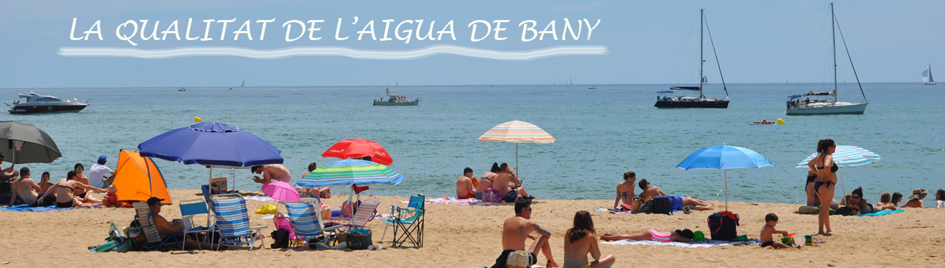 Qualitat aigua platja